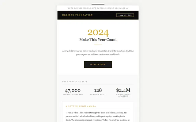 a nonprofit year-end appeal — luxuryserif style preview